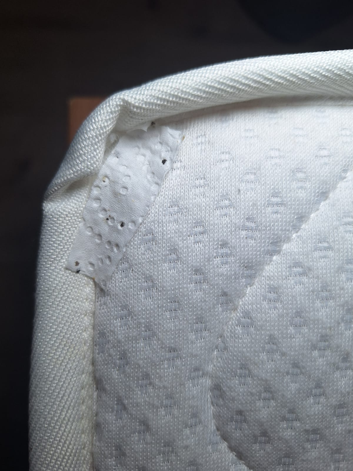 Traces de déjections de punaises de lit sur un matelas