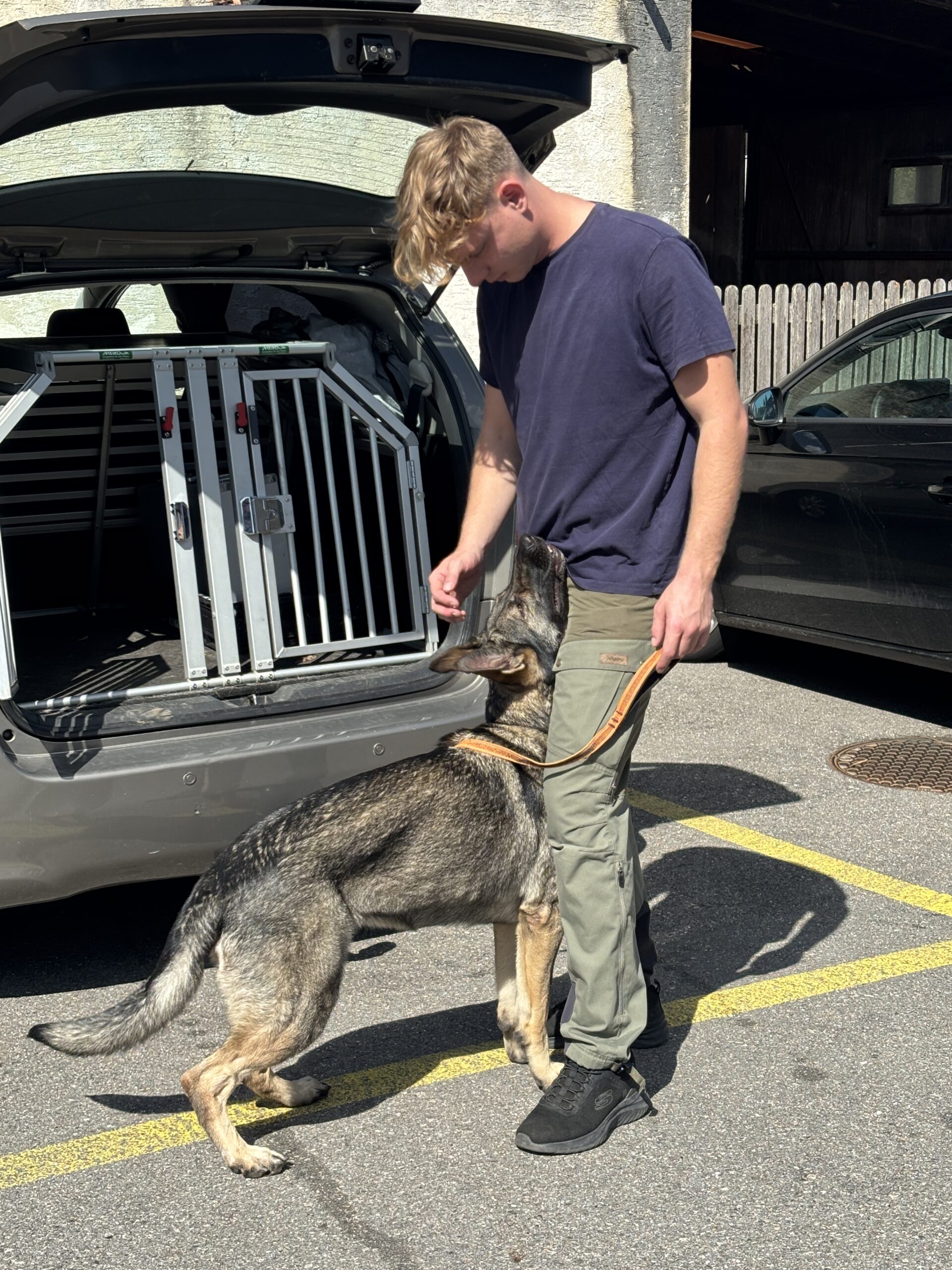 Maître-chien face à son chien avant une séance de travail