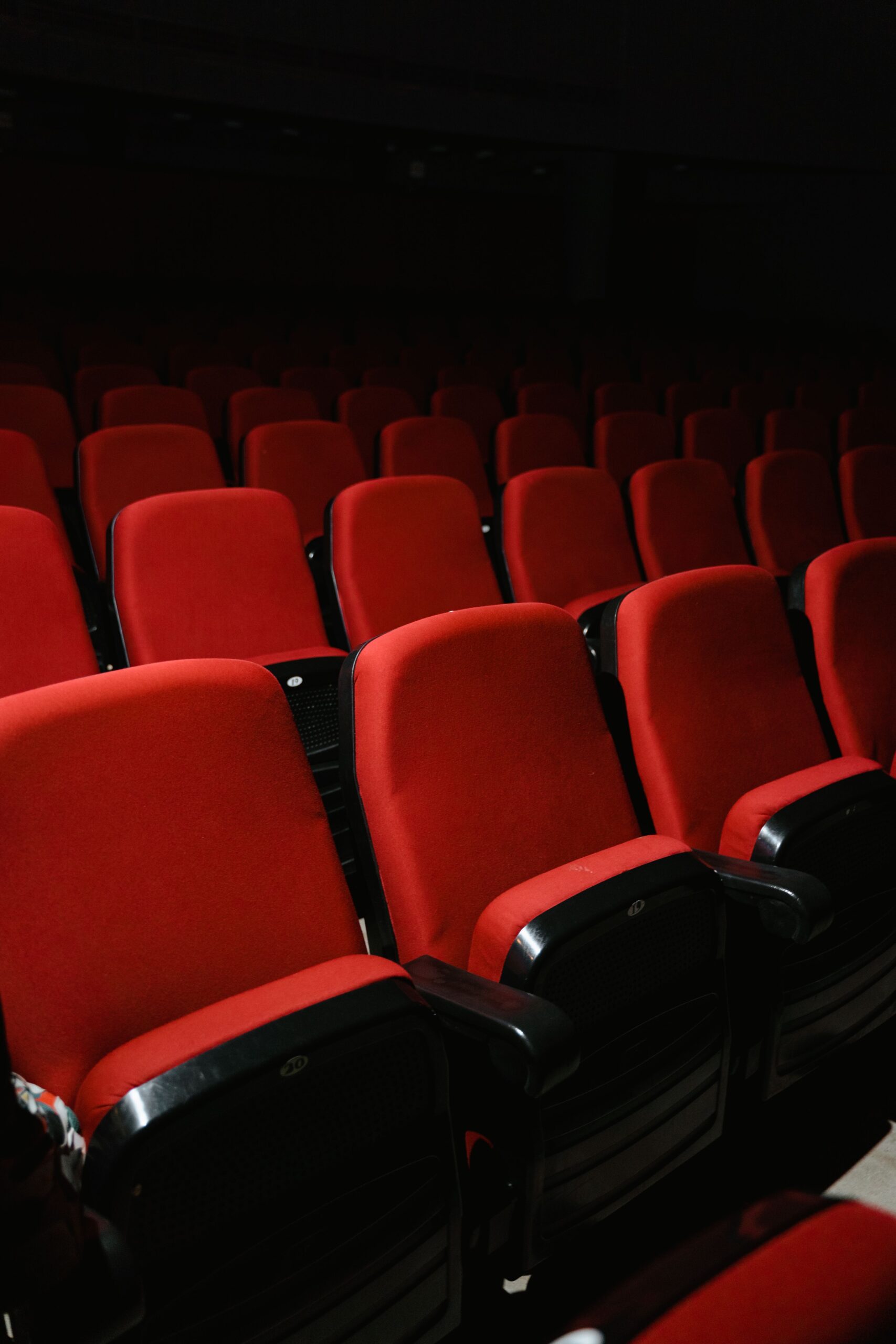 Salle de cinéma pouvant faire l’objet d’une détection canine
