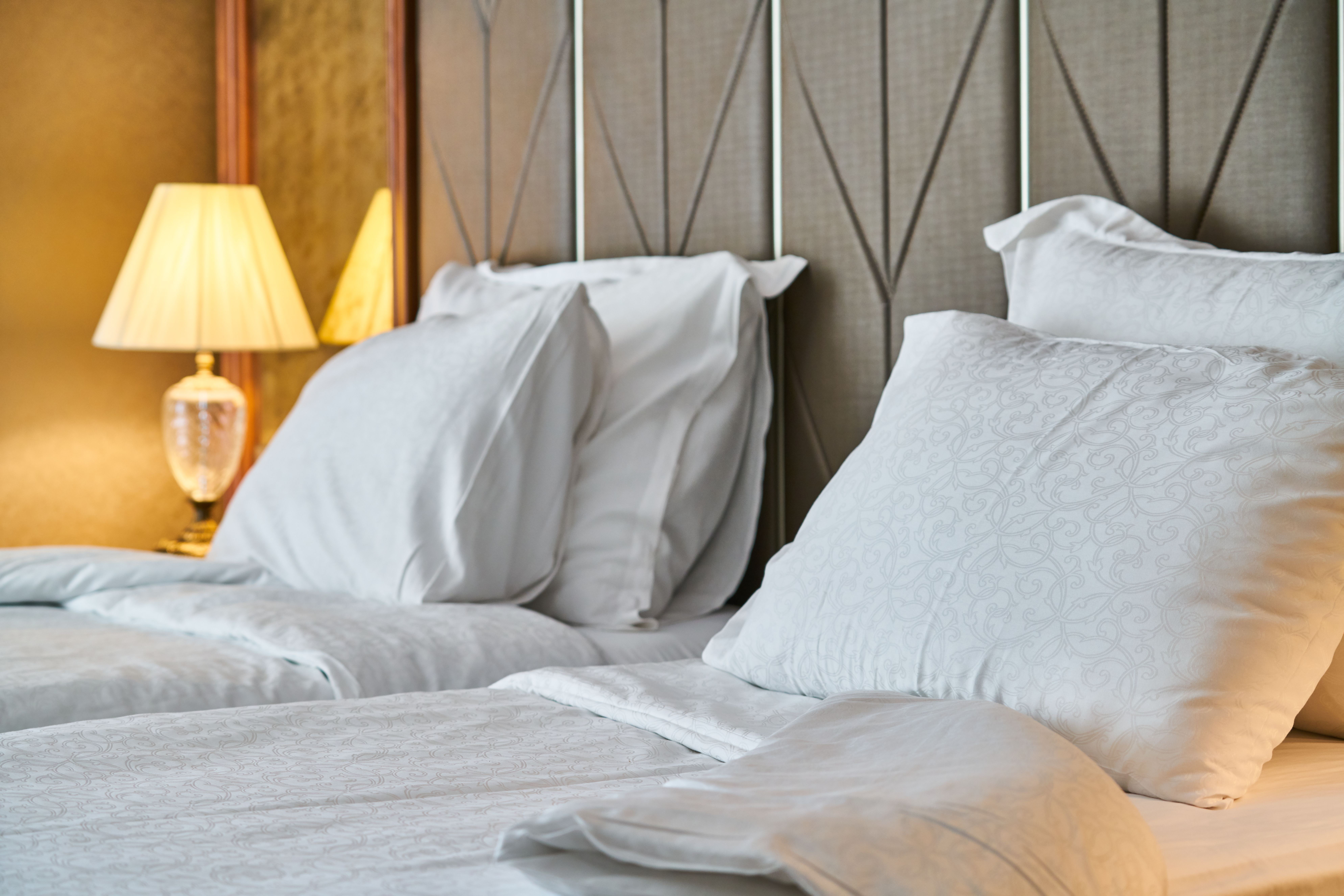 Chambre et literie – prévention des punaises de lit Chambre avec literie pouvant présenter un risque de punaises de lit